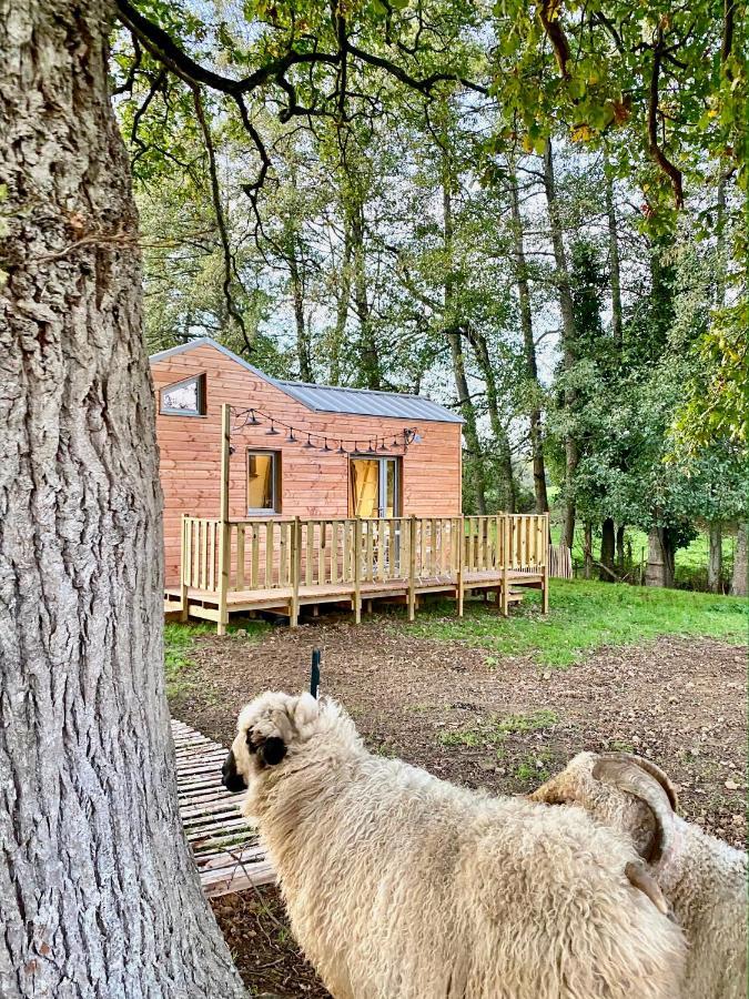 Jolie Tiny House Sous Les Grands Arbres Villa Cholet Dış mekan fotoğraf