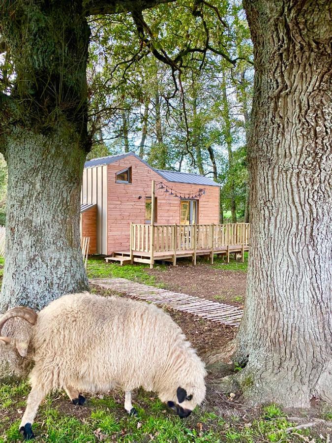 Jolie Tiny House Sous Les Grands Arbres Villa Cholet Dış mekan fotoğraf