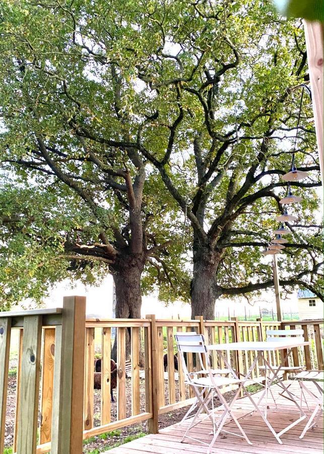 Jolie Tiny House Sous Les Grands Arbres Villa Cholet Dış mekan fotoğraf